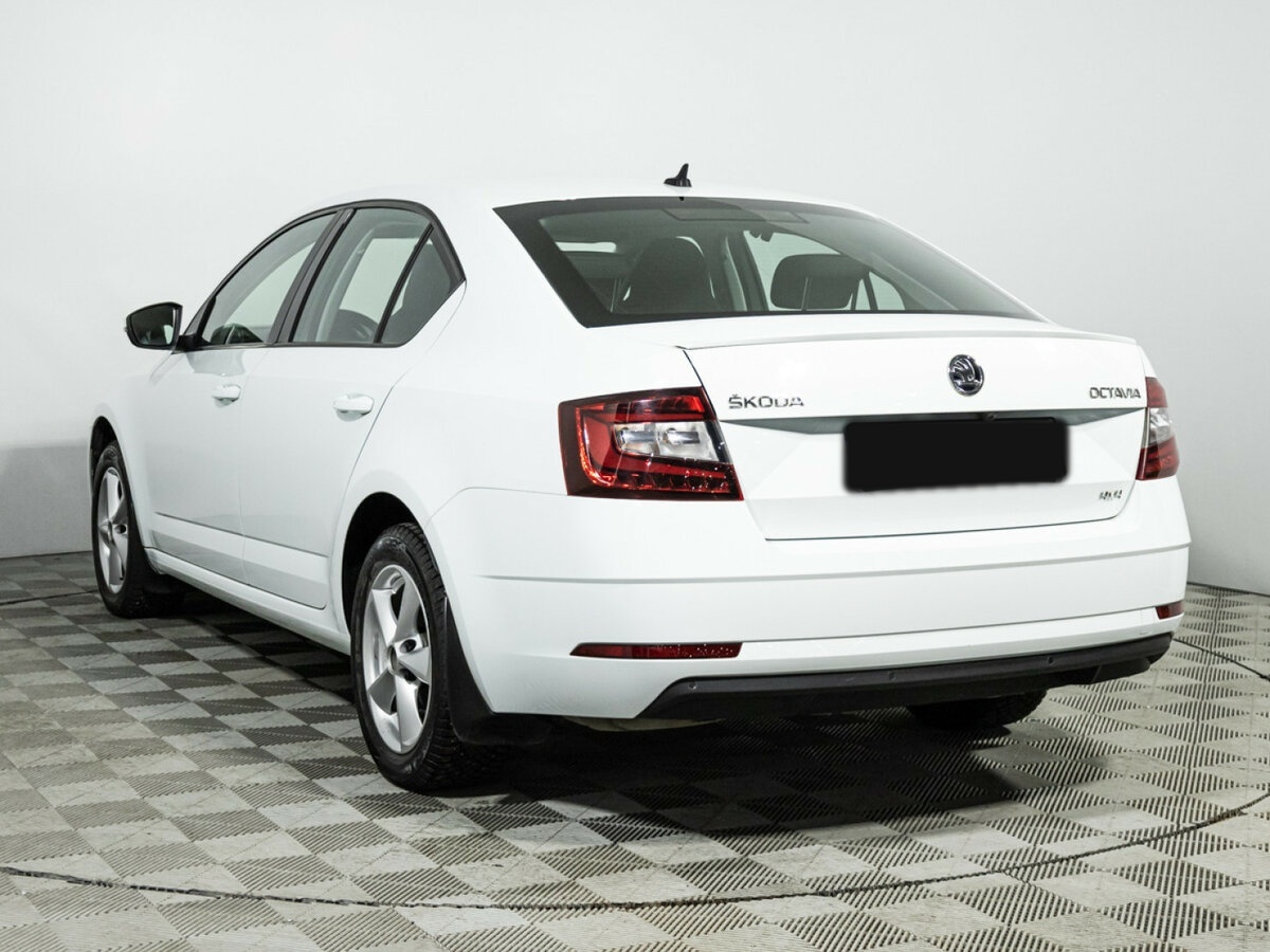 Skoda Octavia с пробегом — 2017 год. Фото: #6